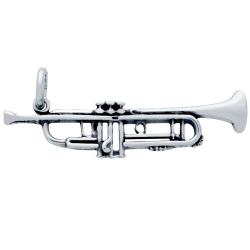 Pandantiv argint 925 in forma de trompeta [1]